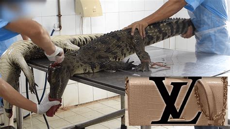 louis vuitton peta|PETA Shuts Down LV's 'Humanely Farmed' Claims .